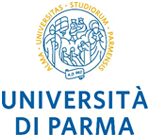 Partner 6